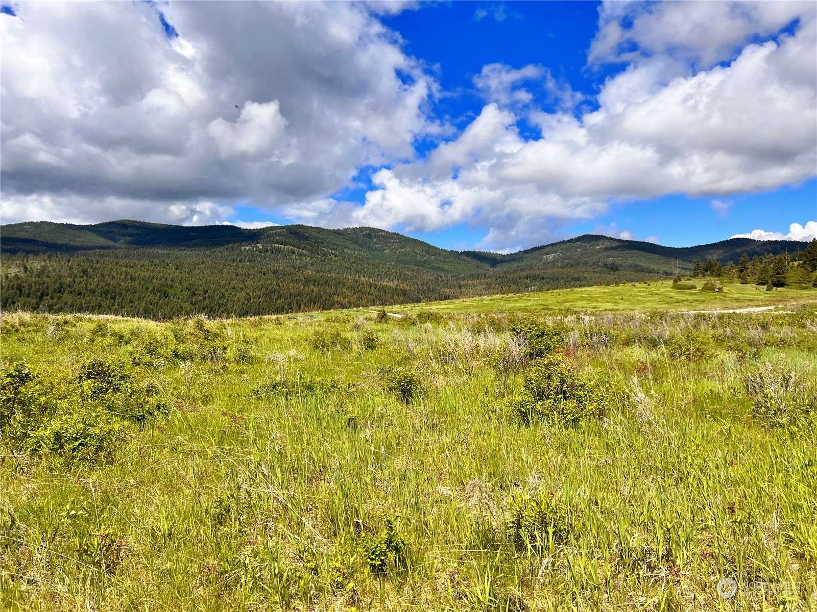 Curlew, WA 99118,27 Moonlight DR