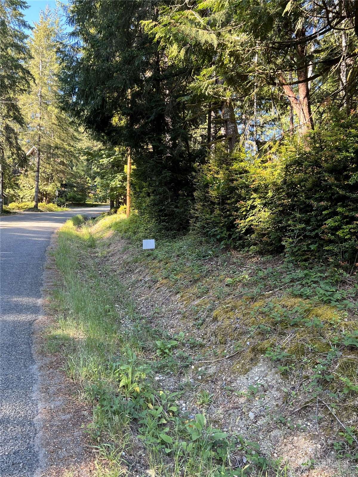 Belfair, WA 98528,0 lot 31 E Twanoh Falls DR