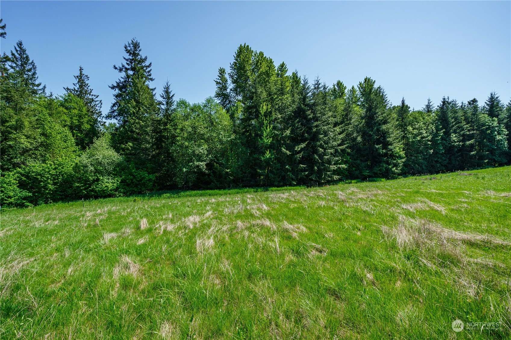 Castle Rock, WA 98611,0 Lot 4 Carnine RD