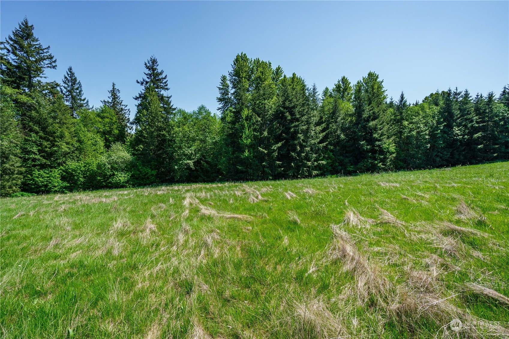 Castle Rock, WA 98611,0 Lot 4 Carnine RD