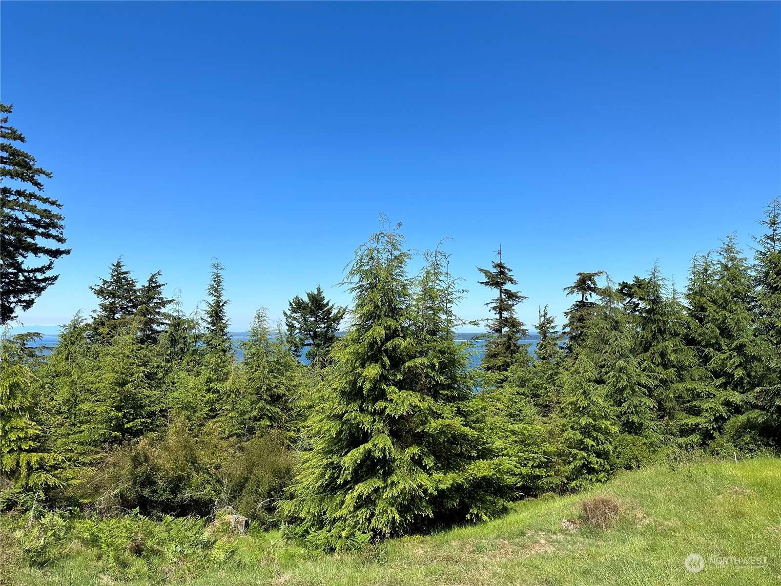 Orcas Island, WA 98245,0 Coastline DR