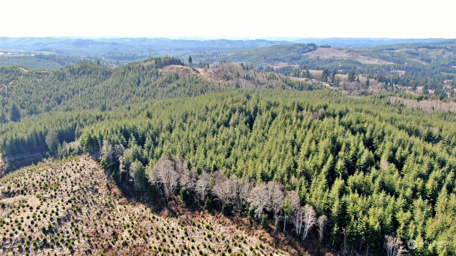 Cosmopolis, WA 98537,0 Off of Lund RD