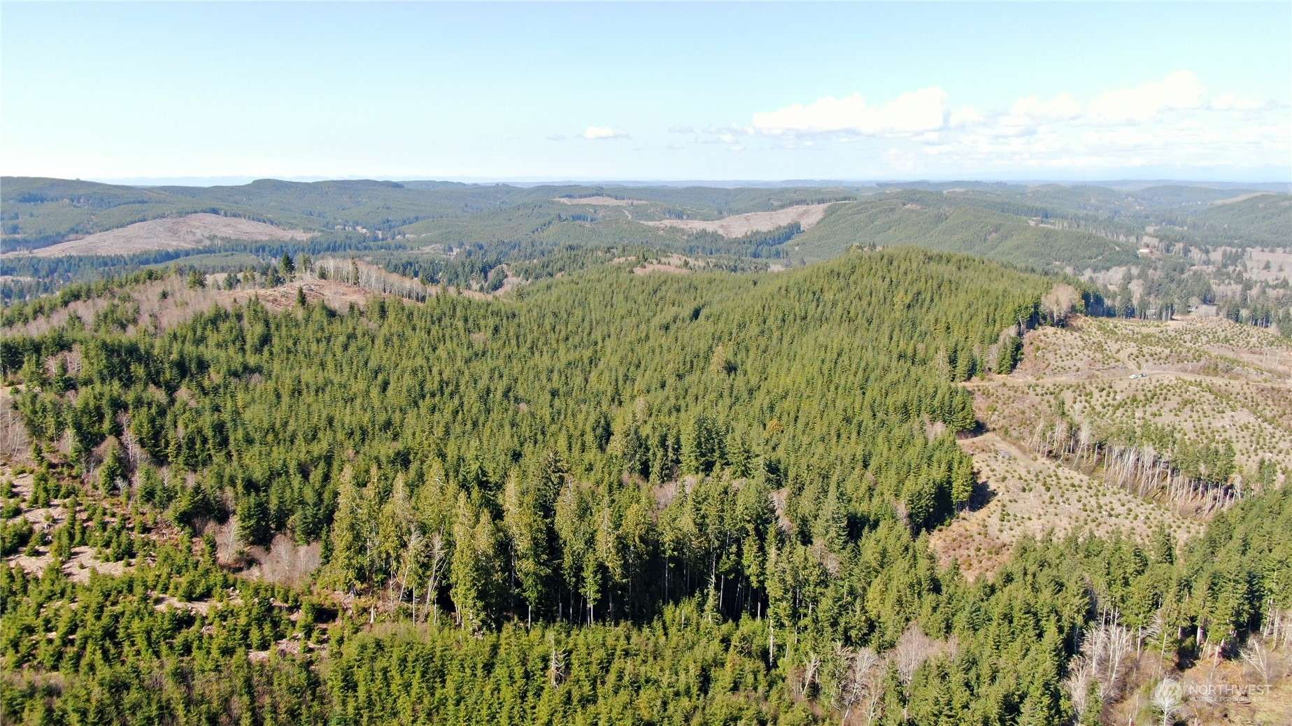 Cosmopolis, WA 98537,0 Off of Lund RD