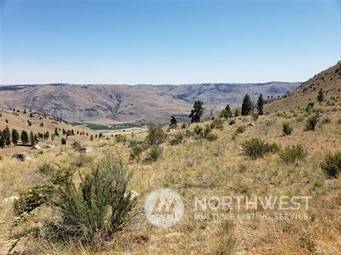 Chelan, WA 98816,0 XX Albers LN