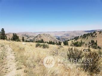 Chelan, WA 98816,0 XX Albers LN