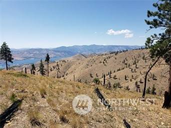 Chelan, WA 98816,0 XX Albers LN