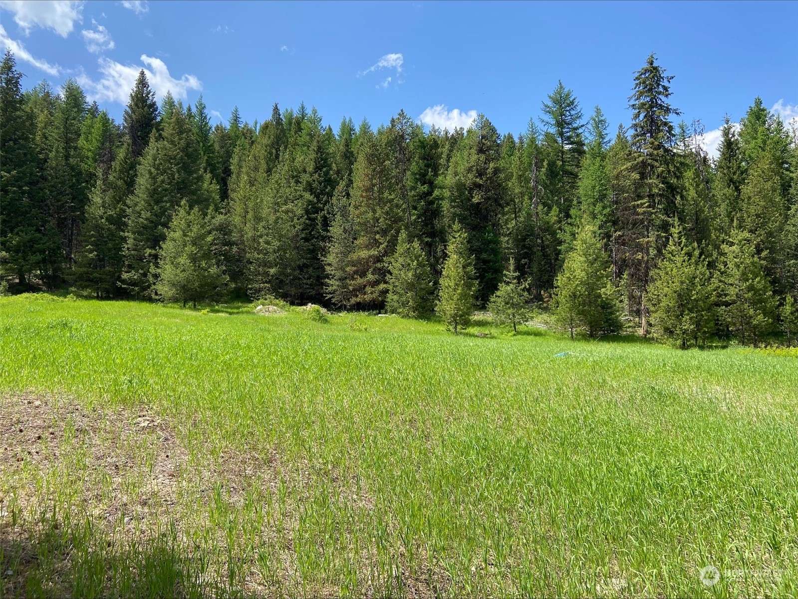 Wauconda, WA 98859,0 W Fork RD