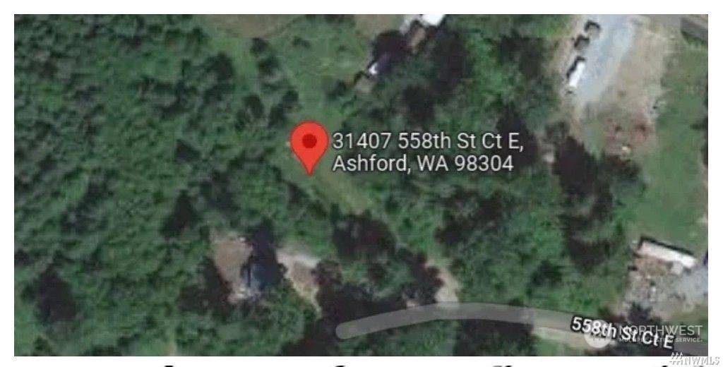 Ashford, WA 98304,31407 558th Street Ct E