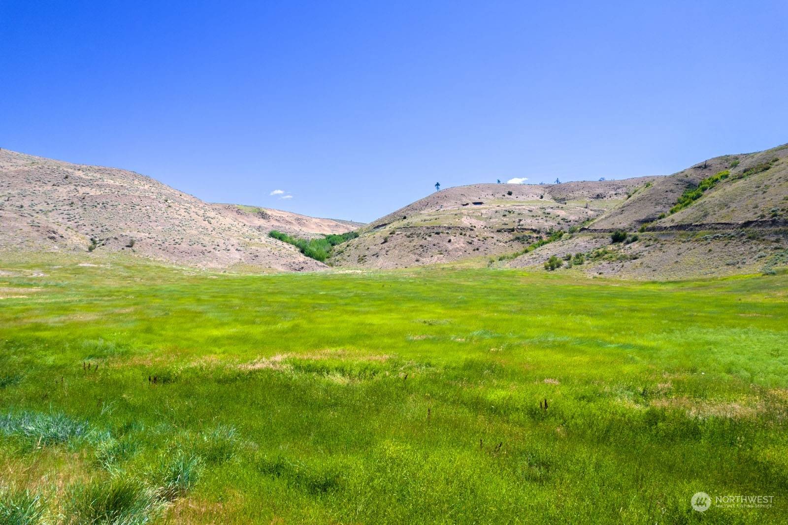 Twisp, WA 98856,218 Balky Hill RD