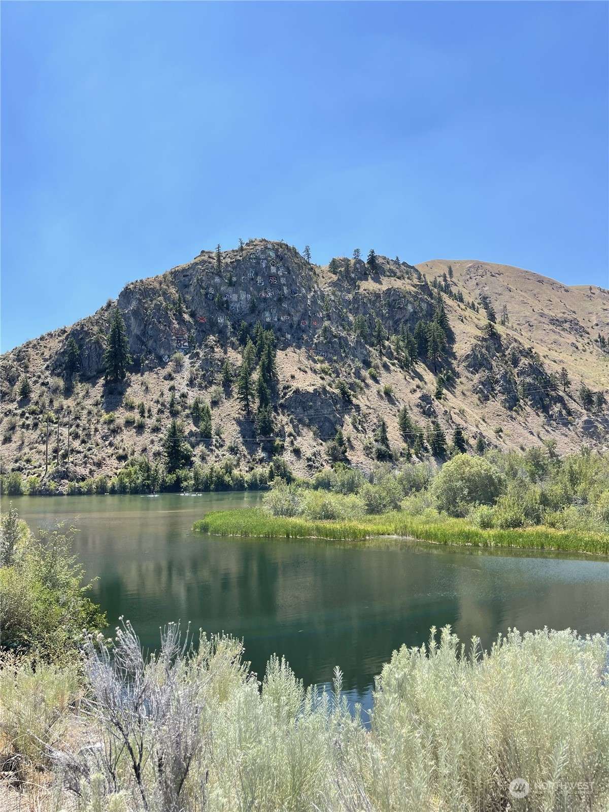 Entiat, WA 98822,9988 Saska WAY