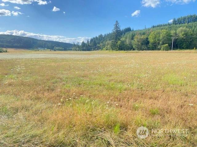 Chehalis, WA 98532,799 Bunker Creek RD