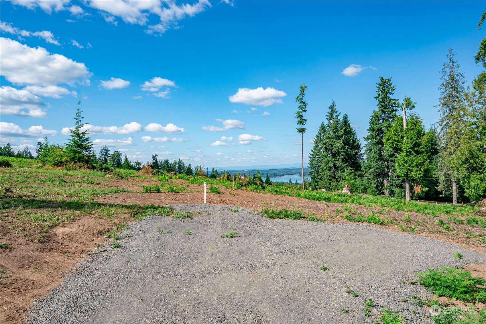 Castle Rock, WA 98611,0 Lot 7 S Silver Lake RD