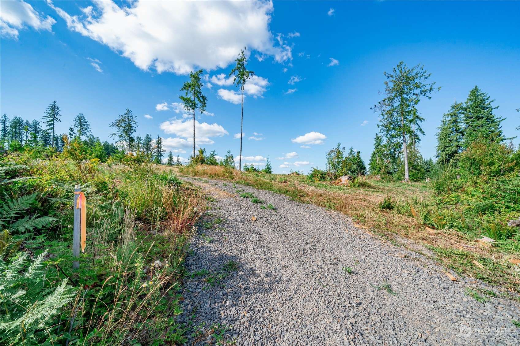 Castle Rock, WA 98611,0 S Silver Lake Lot 7 RD