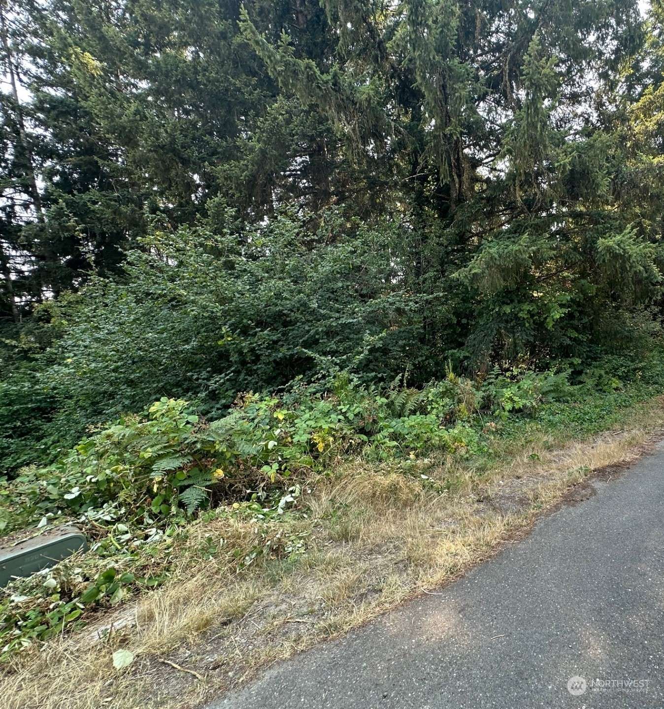 Belfair, WA 98528,0 Lot 28 NE Wanda CT