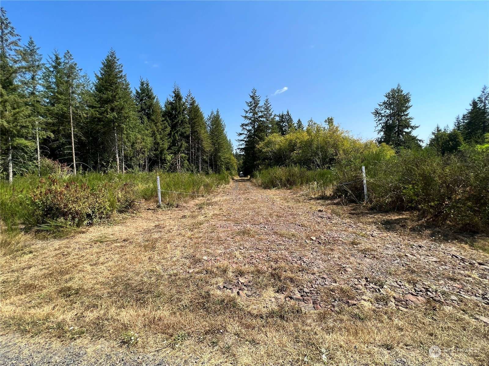 Winlock, WA 98596,241 Bremgartner RD