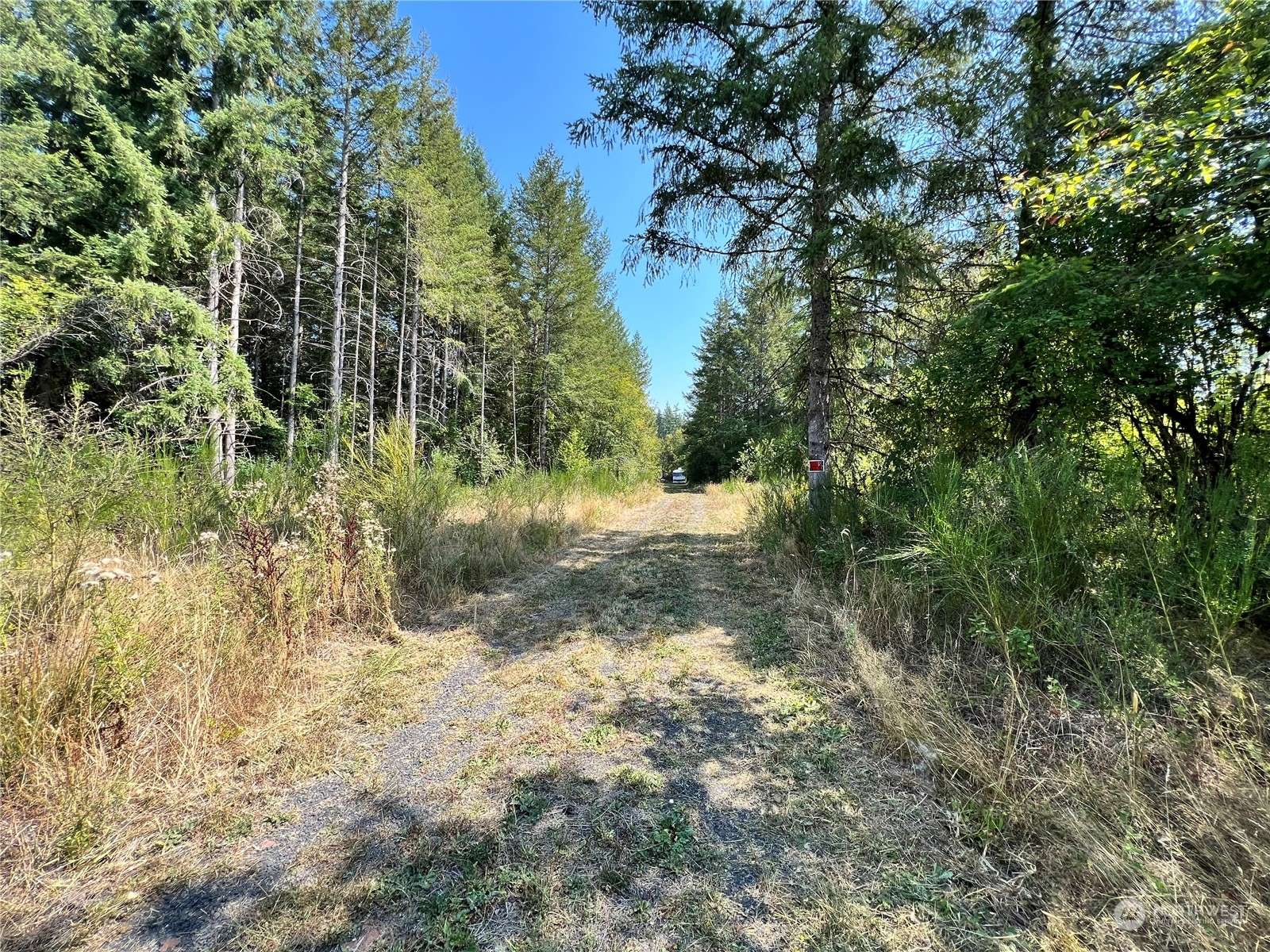 Winlock, WA 98596,241 Bremgartner RD