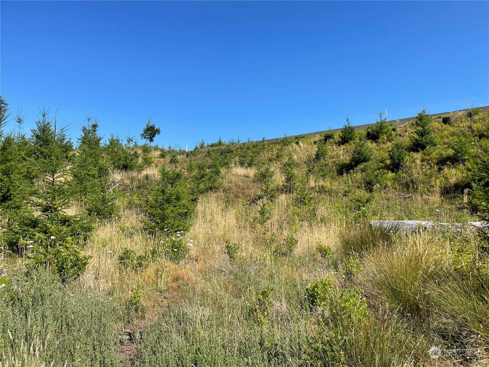 Boistfort, WA 98532,0 Pe Ell McDonald RD