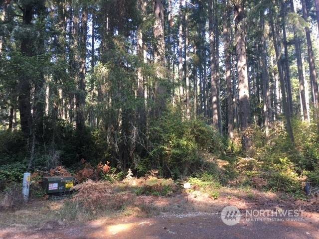 Anderson Island, WA 98303,11107 122nd Avenue Ct