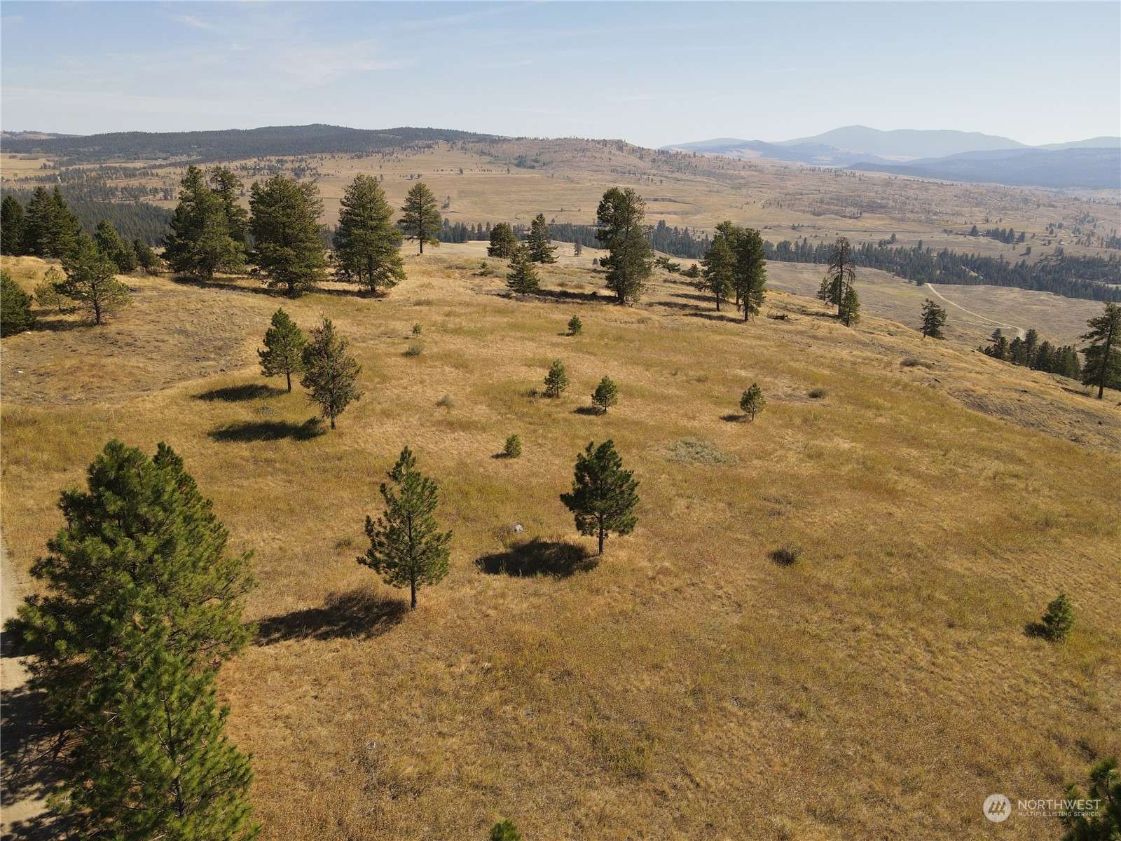 Oroville, WA 98844,0 TBD Blue Grouse RD