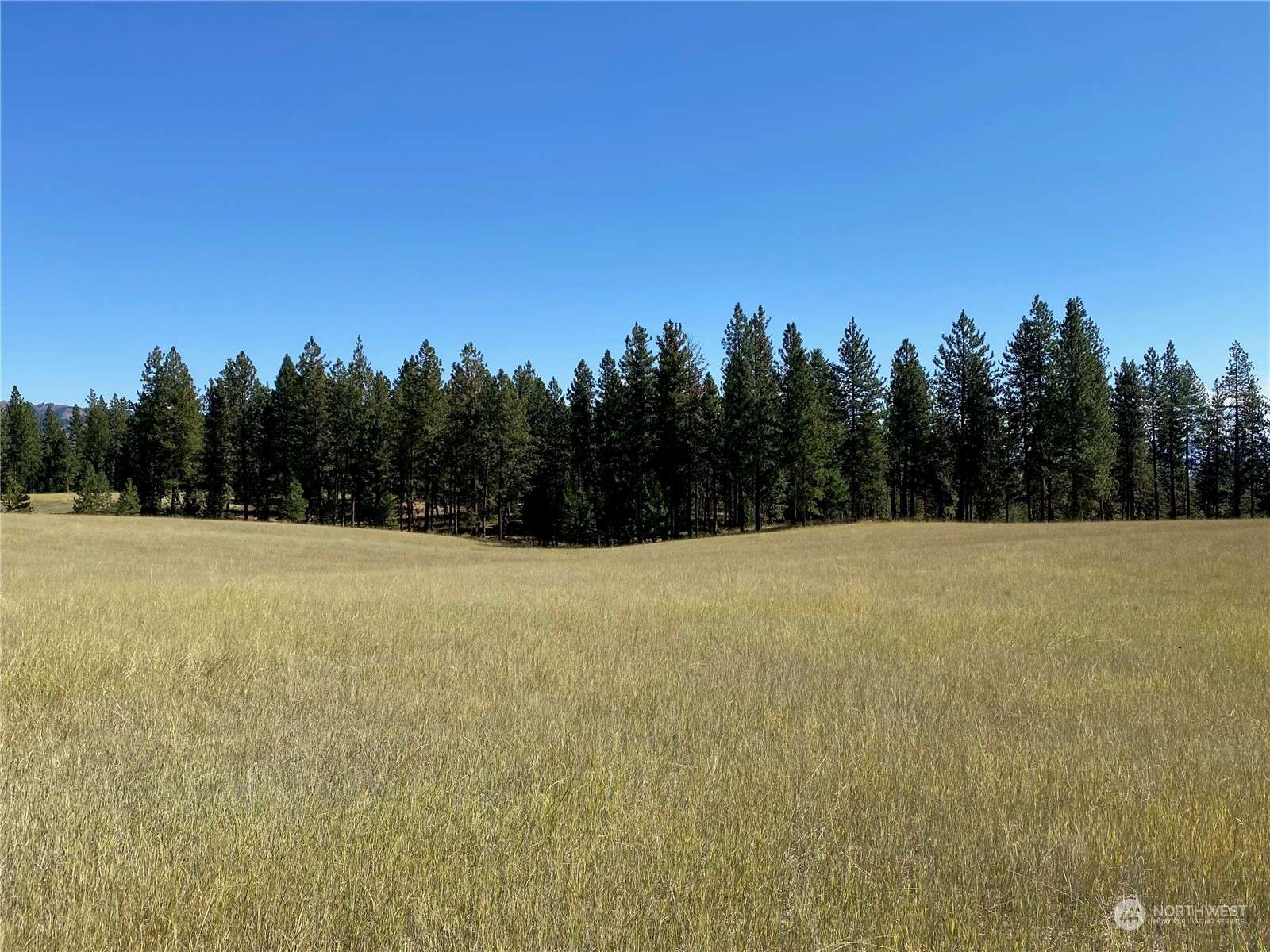 Anatone, WA 99401,0 XX Cougar Creek RD