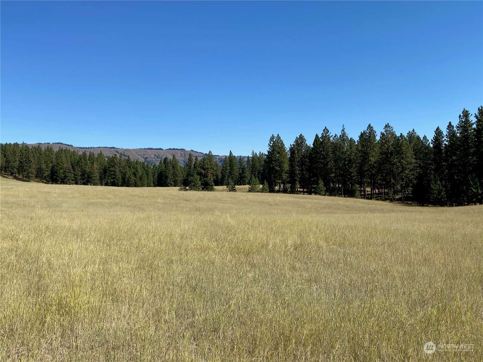 Anatone, WA 99401,0 XX Cougar Creek RD