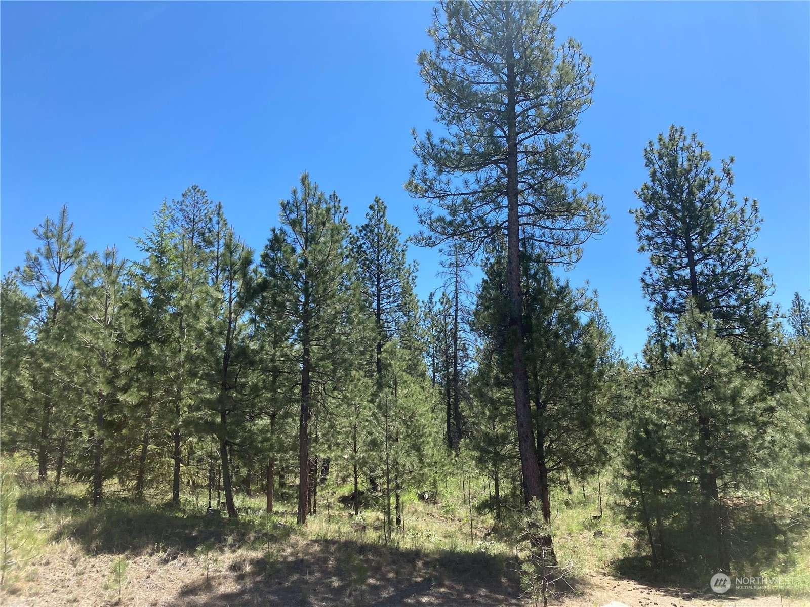 Riverside, WA 98849,25 Chief Joseph Trail Lot 1