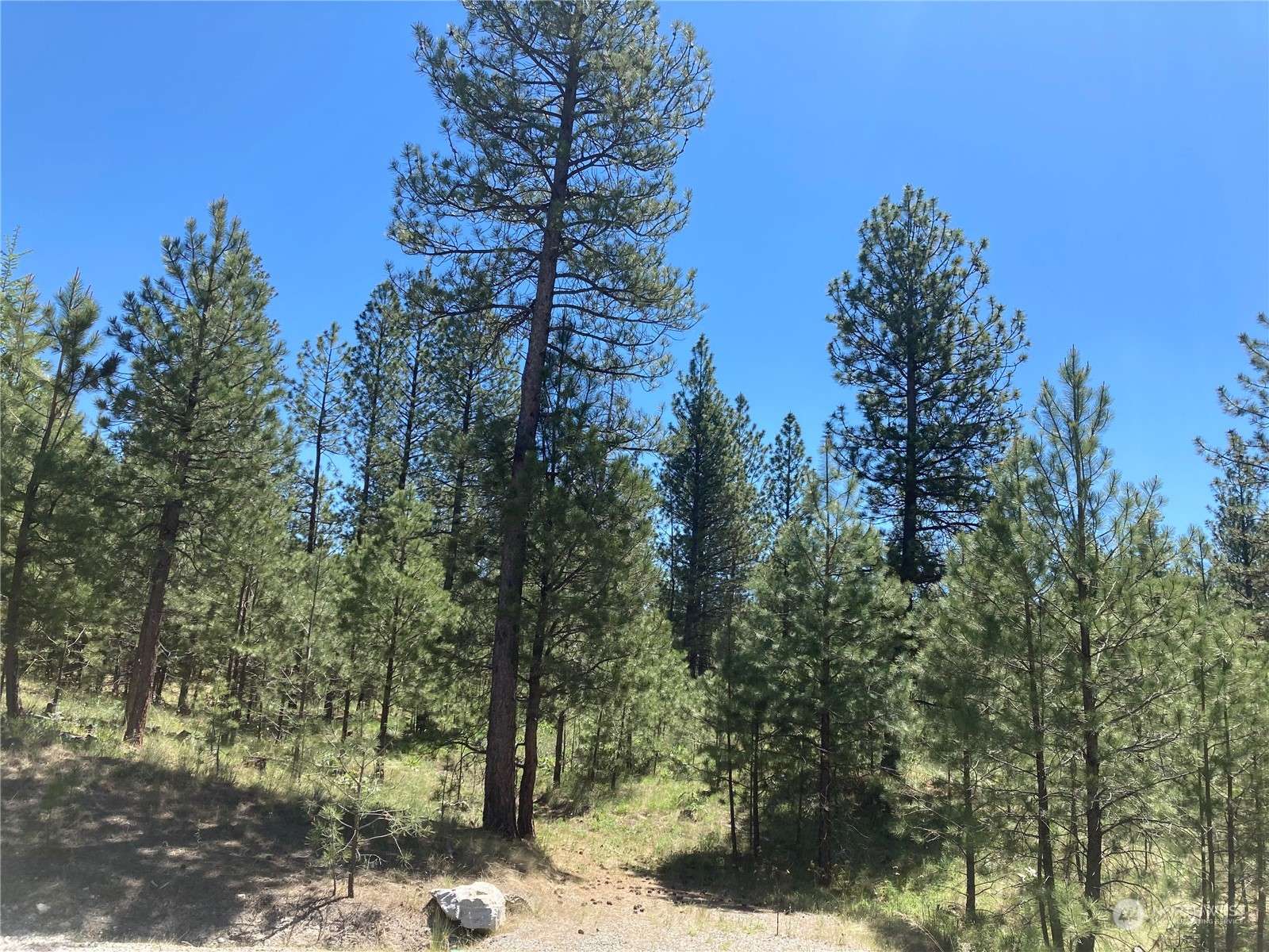 Riverside, WA 98849,25 Chief Joseph Trail Lot 1