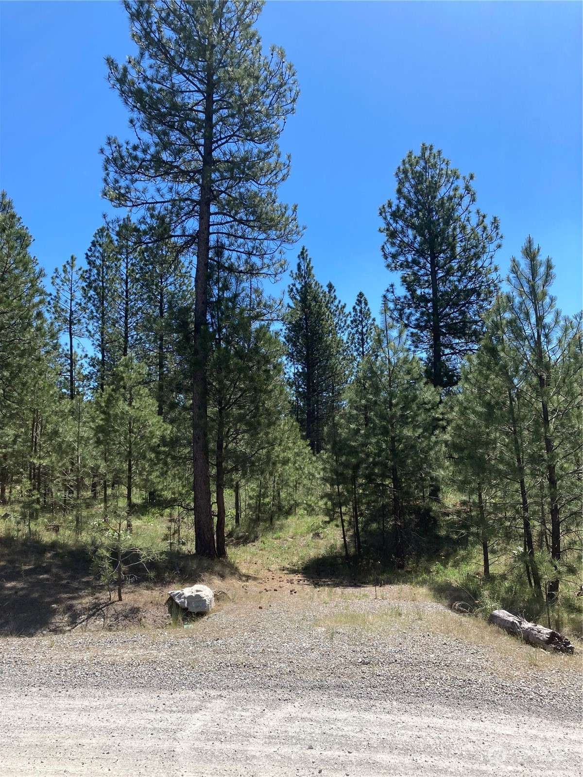 Riverside, WA 98849,25 Chief Joseph Trail Lot 2