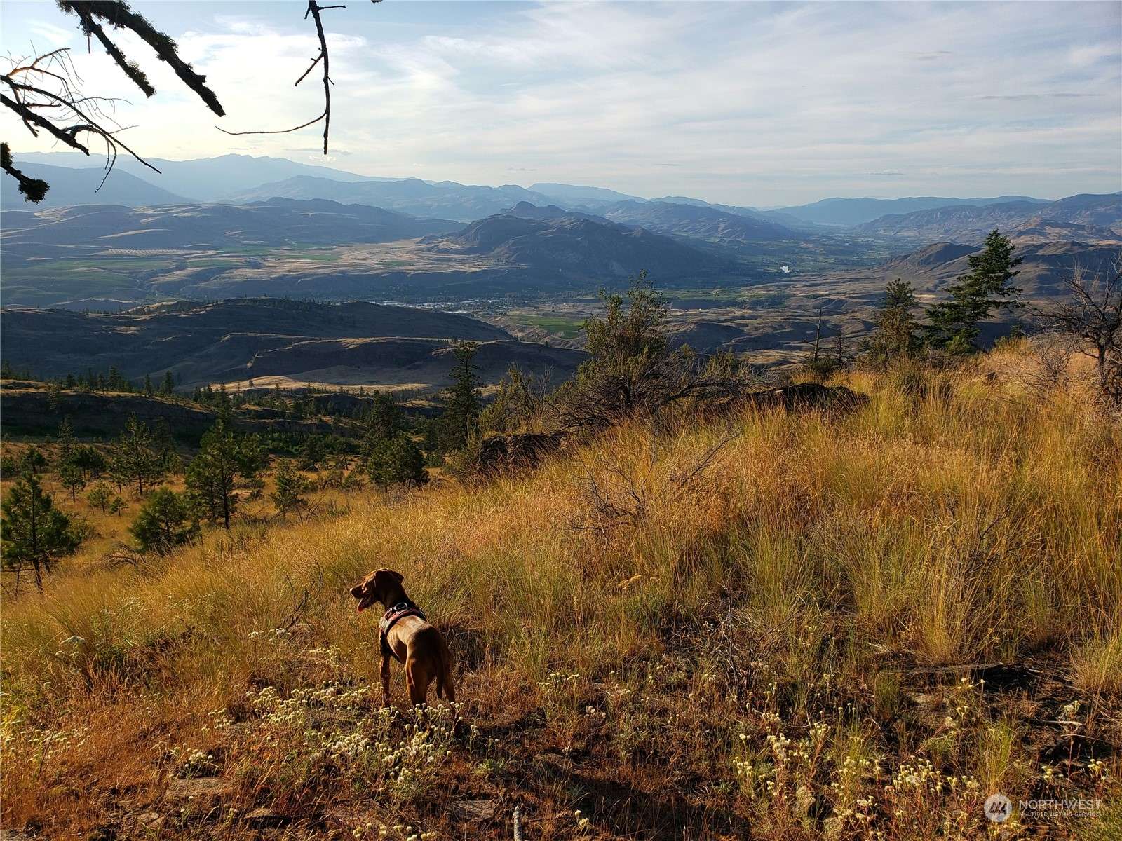 Tonasket, WA 98855,0 Vacant Land