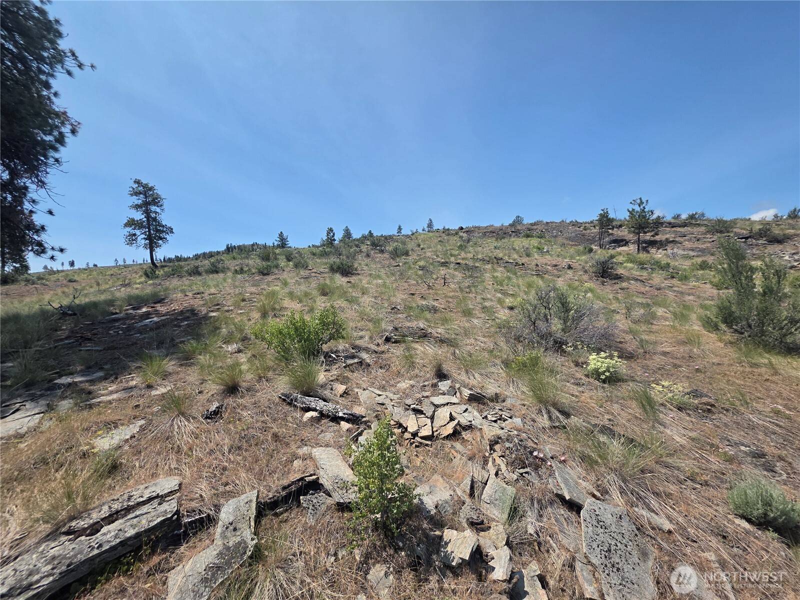 Tonasket, WA 98855,0 Vacant Land