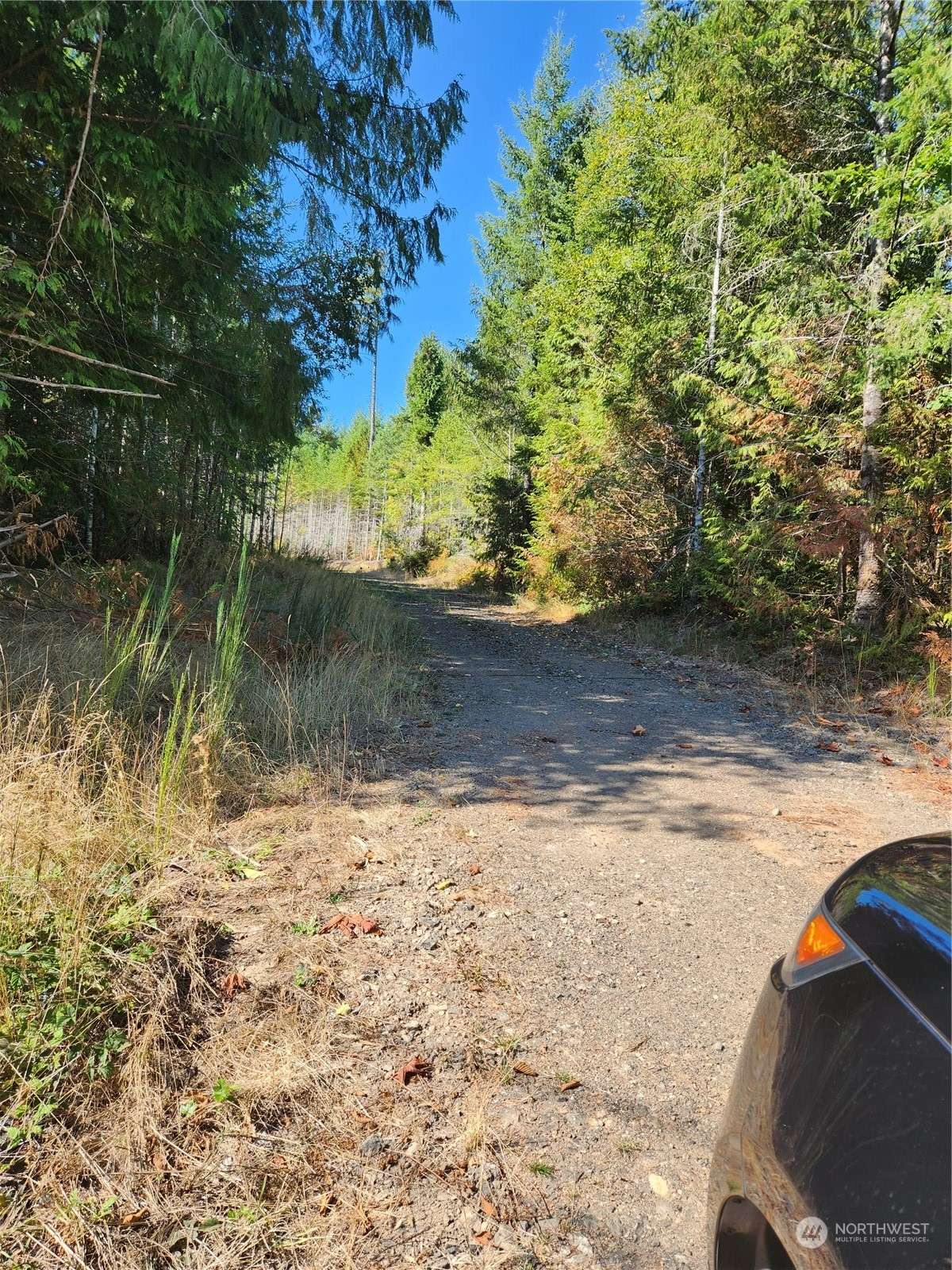 Allyn, WA 98524,0 E Homestead Dr, Lot 2