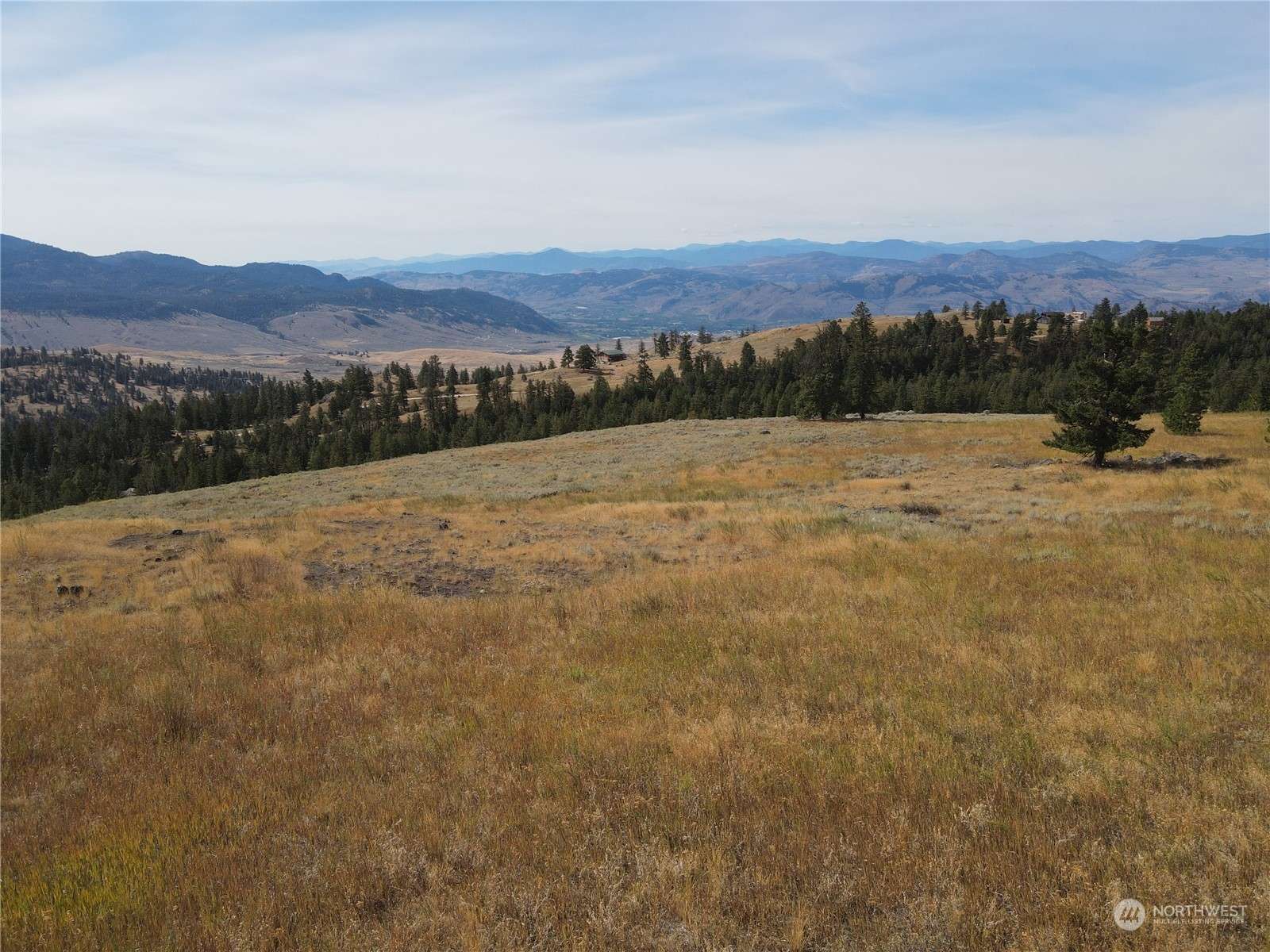 Oroville, WA 98844,0 LOT 49 Canam RD #49