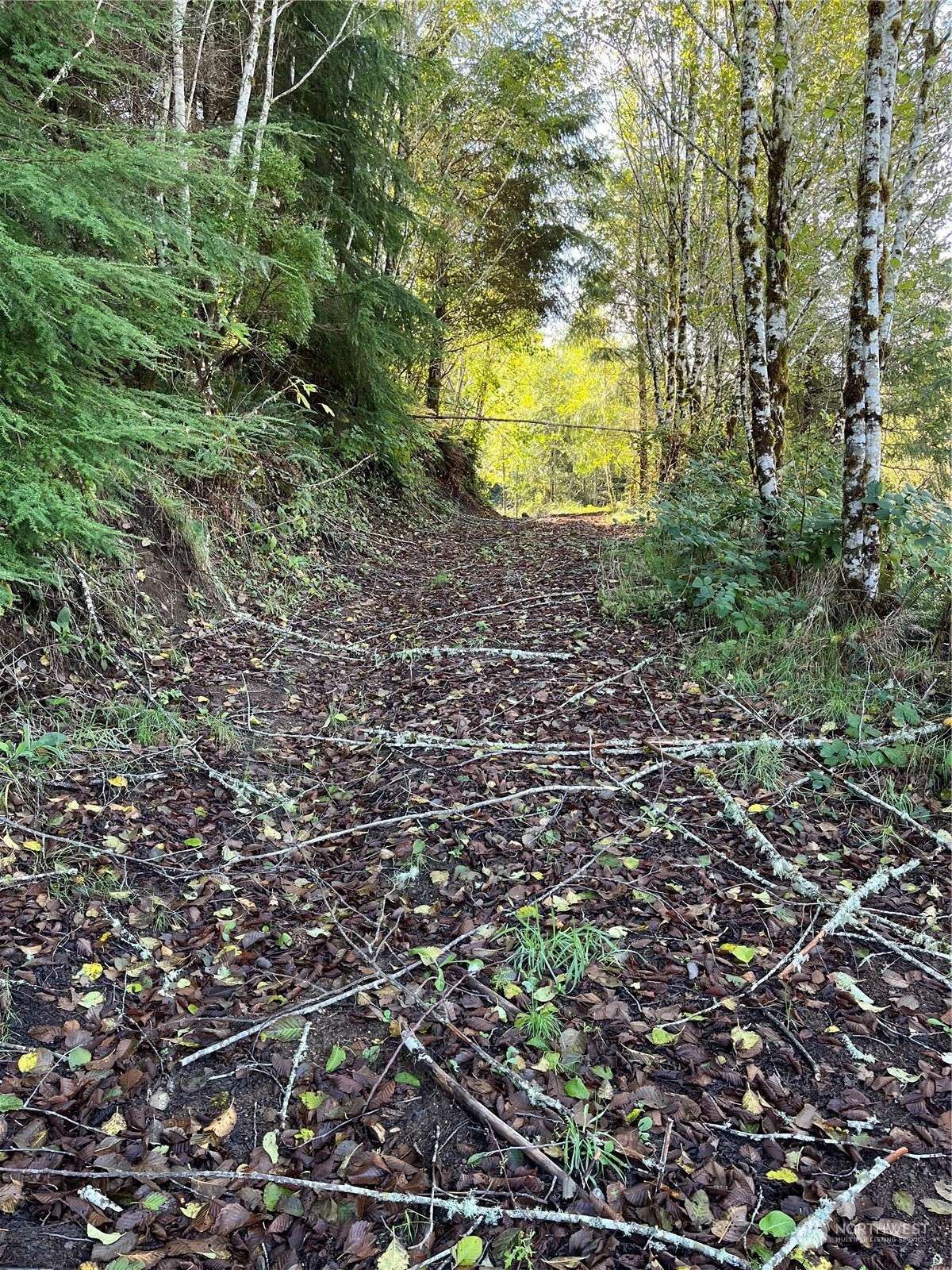 Grays River, WA 98621,159 Covered Bridge RD