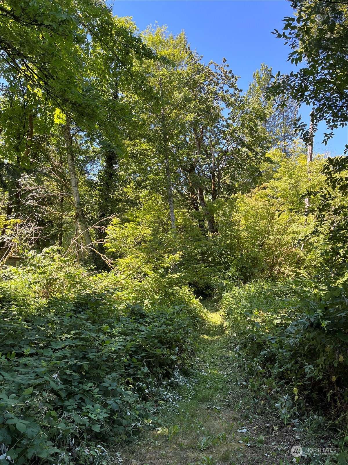 North Bend, WA 98045,10033 416th AVE SE