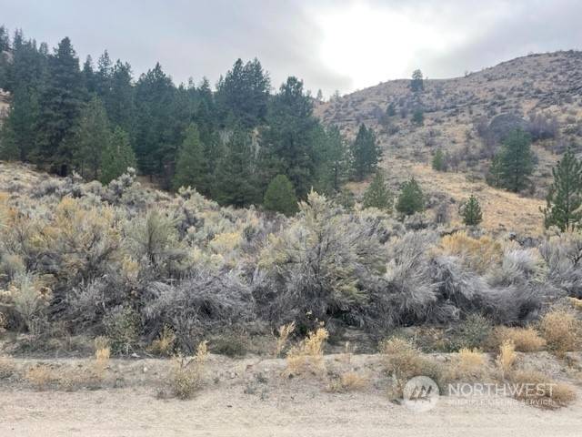 Orondo, WA 98816,30 Lot Mountain Spring Rd