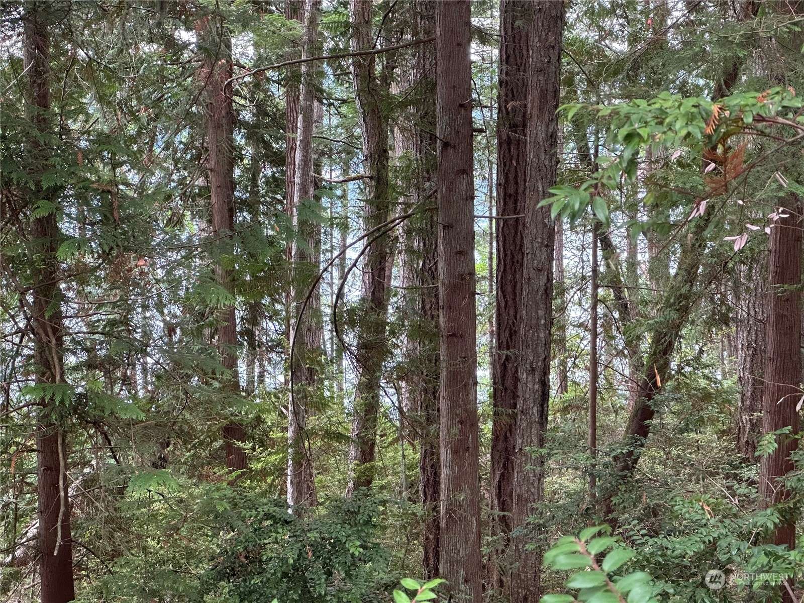 Seabeck, WA 98380,0 Misery Point RD
