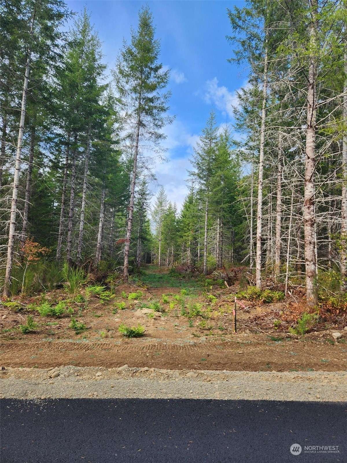 Elma, WA 98541,0 Lot 1 Div 2 Raven LN