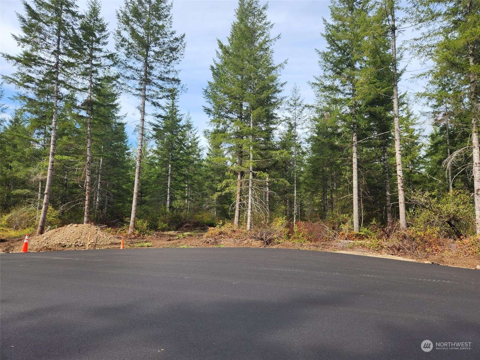 Elma, WA 98541,0 Lot 3 Div 2 Raven LN