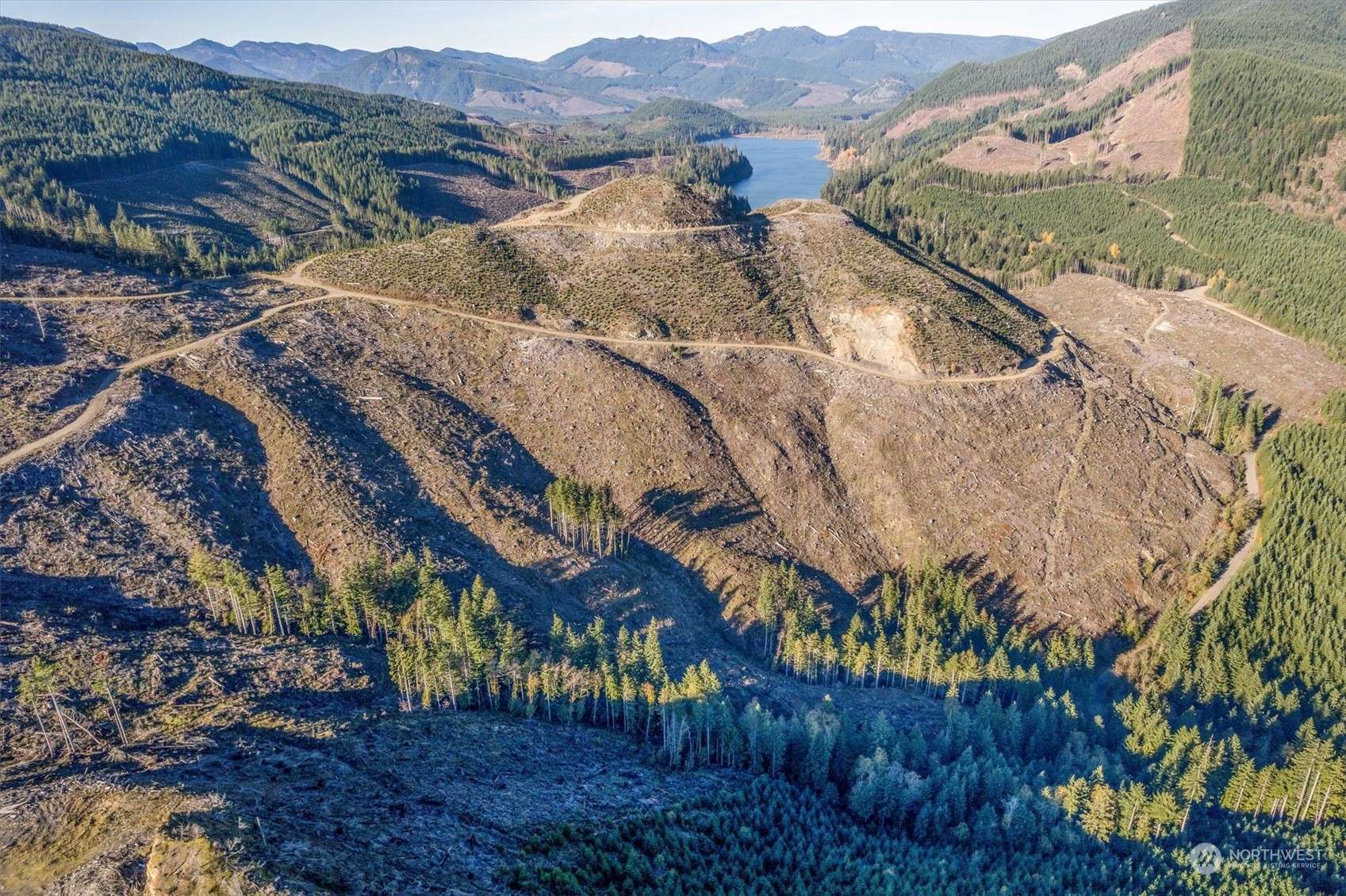 Cougar, WA 98616,71 USFS 8100