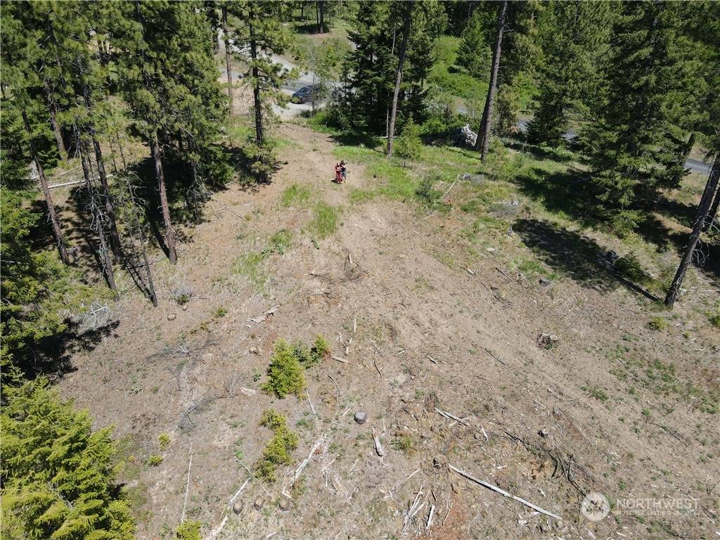 Cle Elum, WA 98922,11 Creekside (Timberline #11) RD