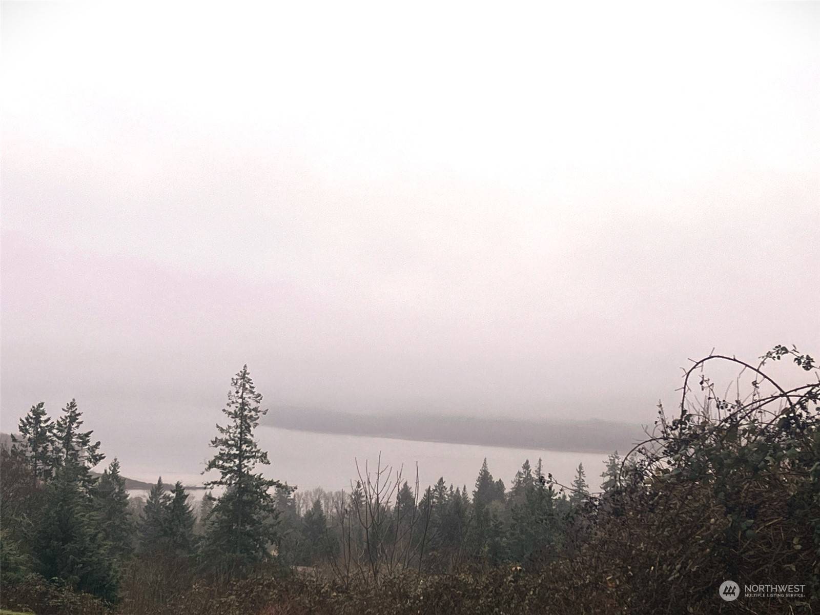 Kalama, WA 98625,175 Mountain Reign
