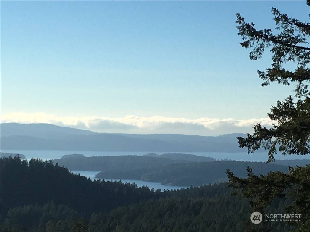 Orcas Island, WA 98245,2 SW2 Rustic Homestead LN