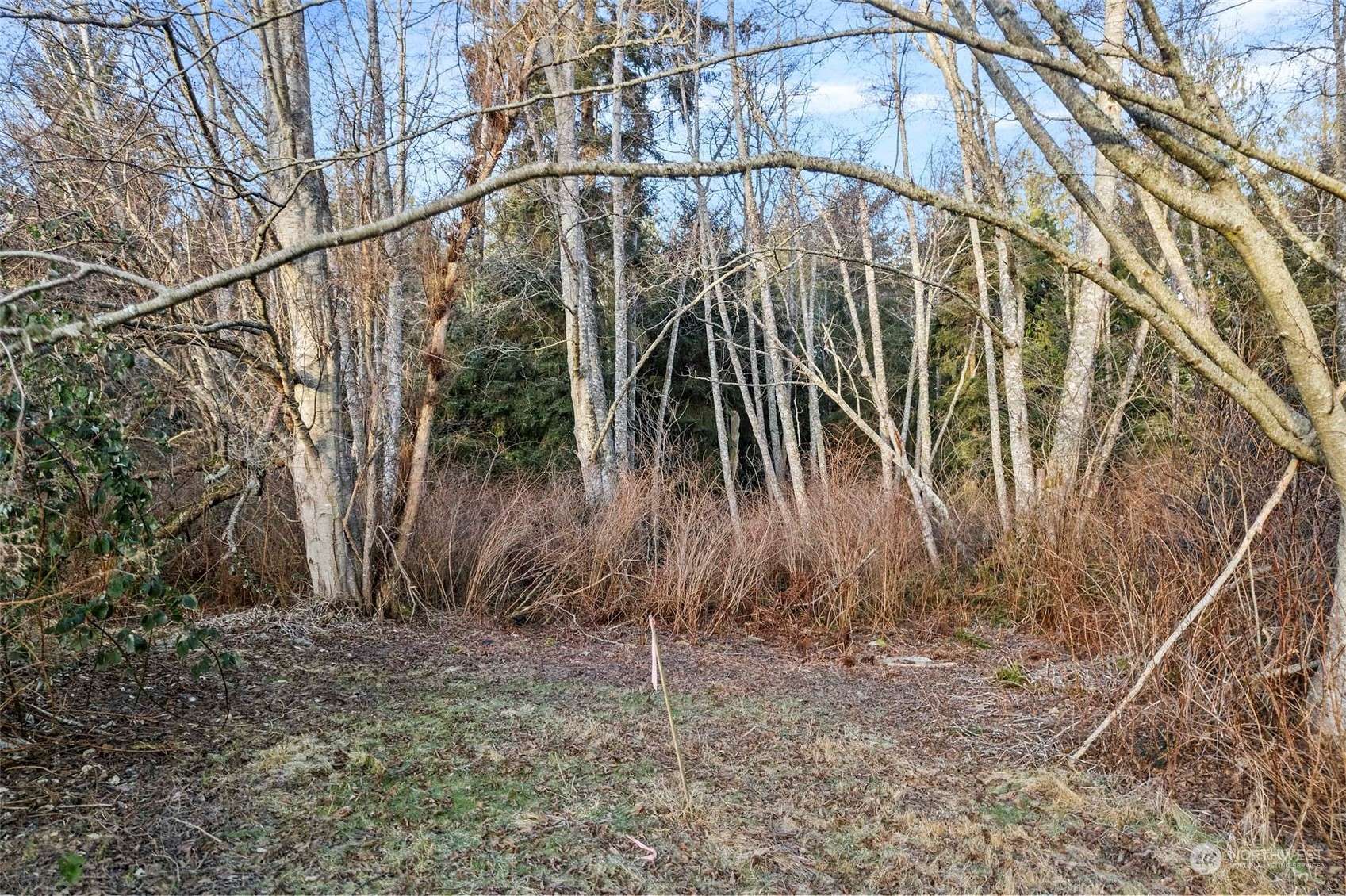 Oak Harbor, WA 98277,5028 Deception CIR