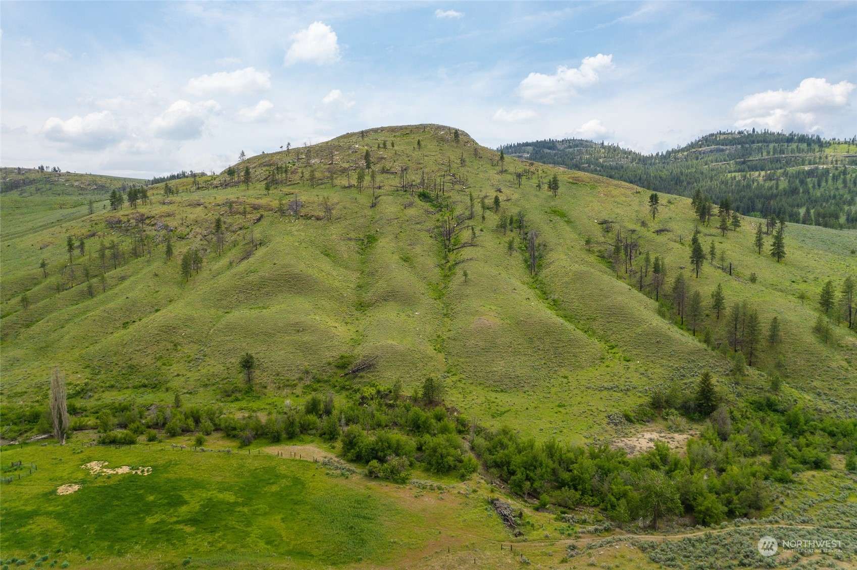 Riverside, WA 98849,734 Tunk Creek Rd.