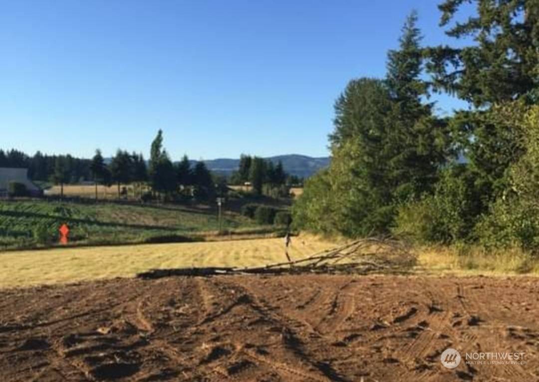 Mossyrock, WA 98564,1347 SR 122