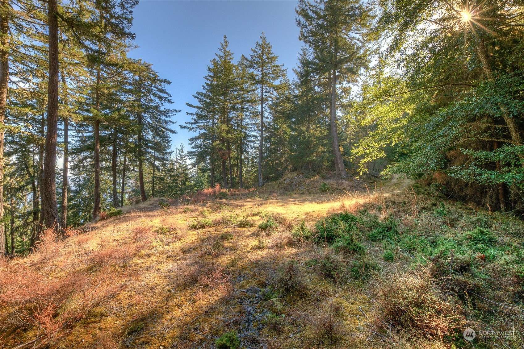 Orcas Island, WA 98245,1910 Twin Lakes DR