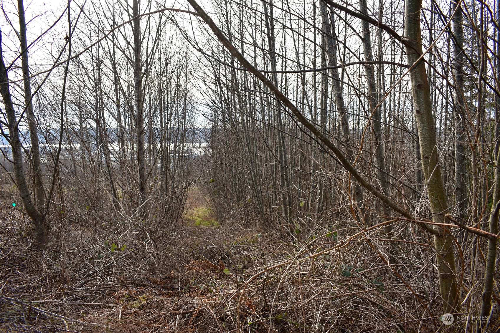 Hoquiam, WA 98550,0 X Beacon Hill DR