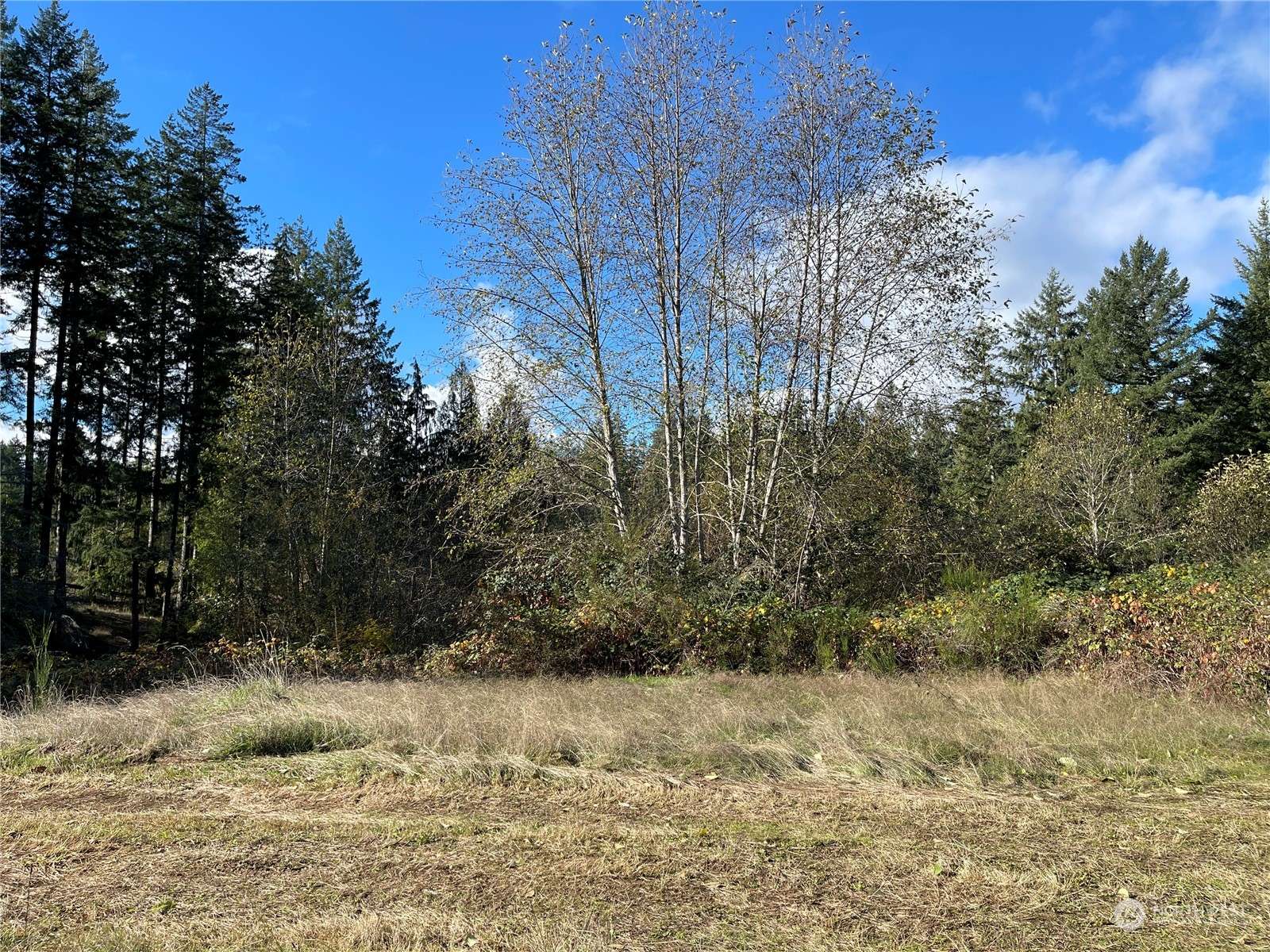 Belfair, WA 98528,0 E Rasor RD