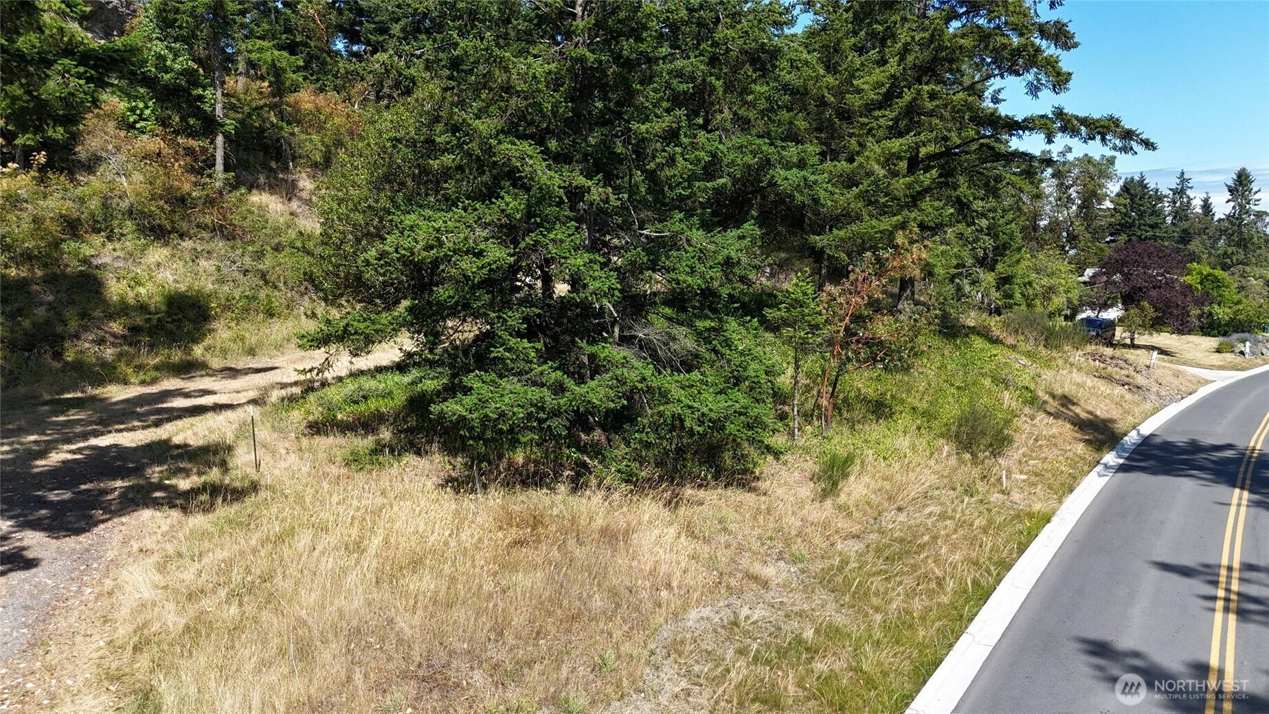 Friday Harbor, WA 98250,385 Marguerite PL