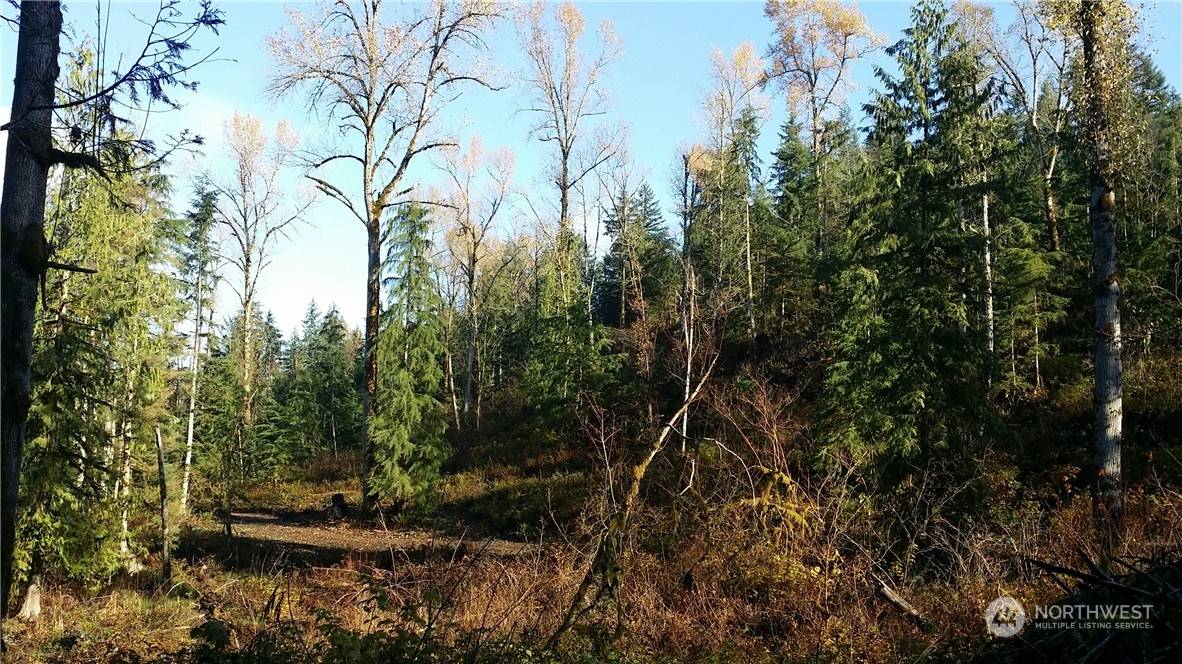 Wilkeson, WA 98396,151 XX Wilkeson-Spiketon Rd (Lot 3)